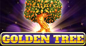 casino-banner